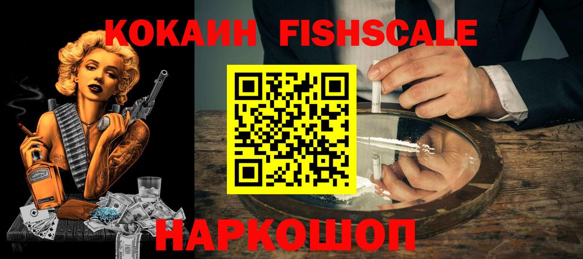 COCAIN Fish Scale  Вход с VPN  Сатка 