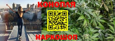 PSILOCYBIN Рыбинск