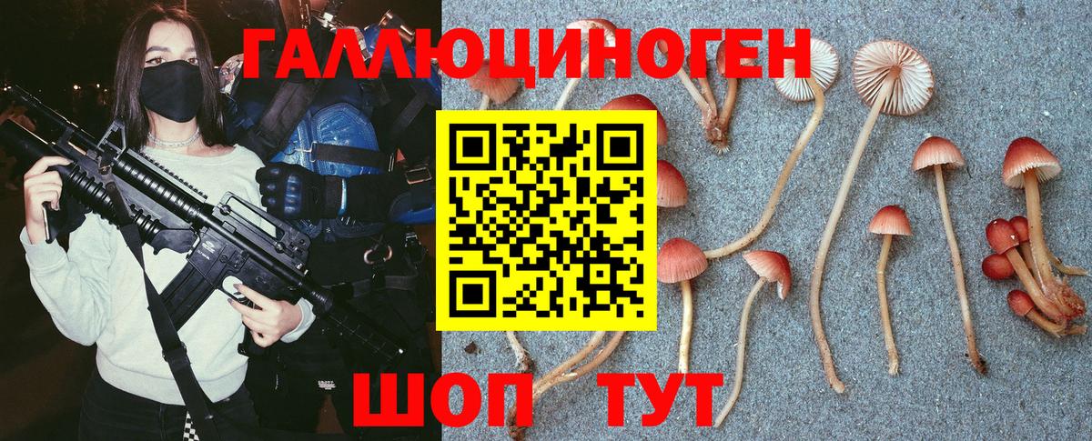 Галлюциногенные грибы GOLDEN TEACHER  Галлюциногенные грибы мицелий  Сатка  Вход с VPN 