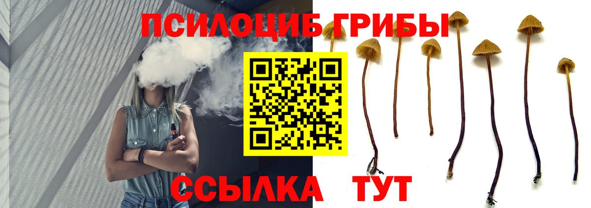 Галлюциногенные грибы Psilocybe Сатка